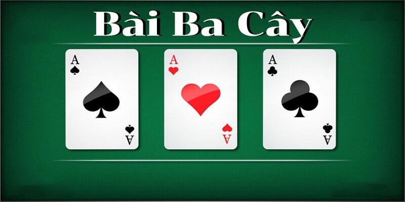 Bài 3 cây hấp dẫn nhiều thành viên tham gia