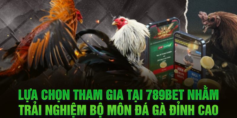 Lựa chọn tham gia tại 789BET nhằm trải nghiệm bộ môn đá gà đỉnh cao