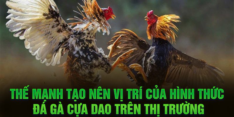 Thế mạnh tạo nên vị trí của hình thức đá gà cựa dao trên thị trường