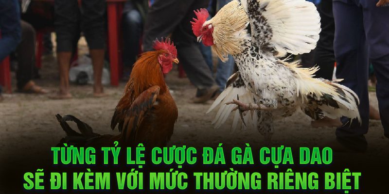 Từng tỷ lệ cược đá gà cựa dao sẽ đi kèm với mức thường riêng biệt